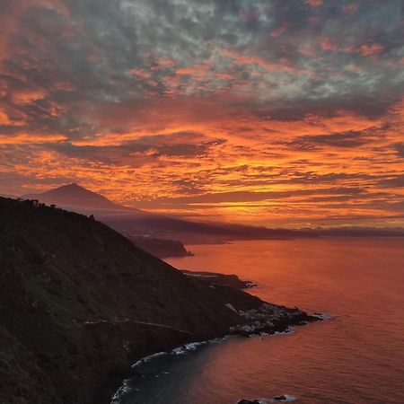 Best View Tenerife Vivienda Vacacional La Matanza De Acentejo 外观 照片